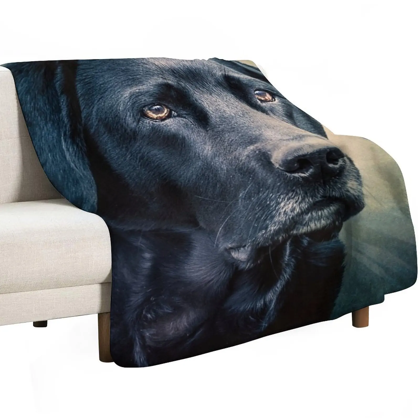 Black Velvet - Labrador Throw Blanket Versatile Cozy Throw Blanket for All Occasions
