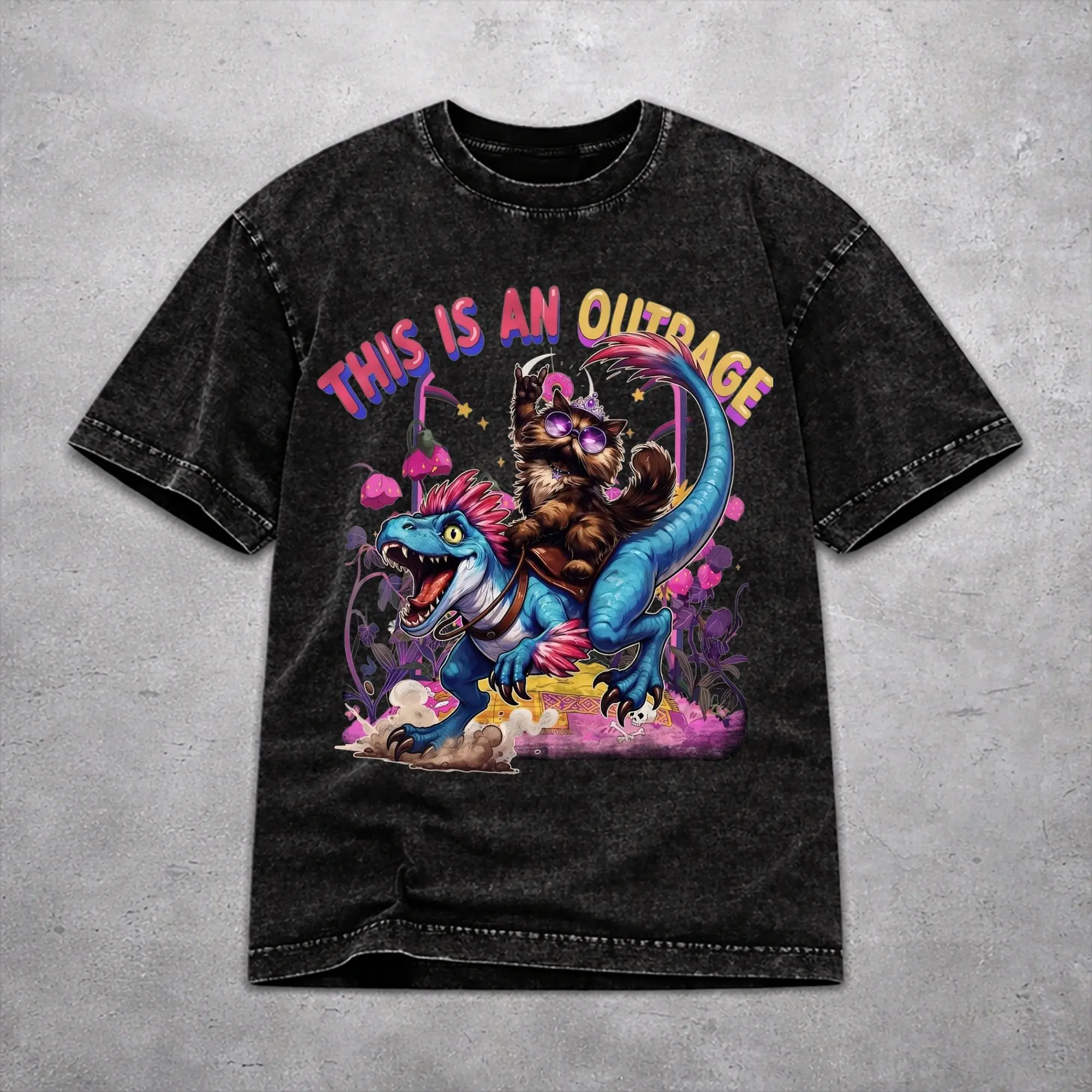 This Is An Outrage Princess Donut Cat  Washed T Shirt Fashion Harajuku for Men Women  Oversize T-Shirts Tee 100% Cotton