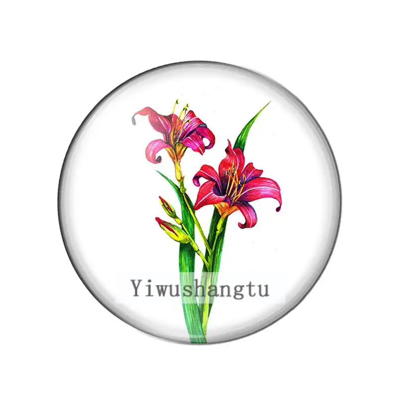 Fashion red daffodil beautiful flower 12mm/20mm/25mm/30mm Round photo glass cabochon demo flat back Making findings