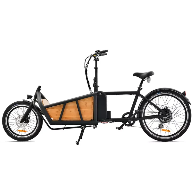 Front Loading Rear Drive Motor Electric Two-Wheel Freight Bike Drop Transport Electric Freight Bike Children's School