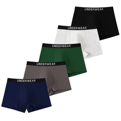 5pcs Mixed Boys Underwear 8-14 Years Old Plain Color Black Gray Blue Cotton Soft Breathable Comfortable Simple Boy Flat Angle Un