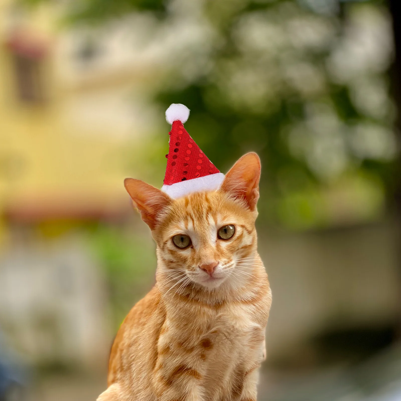 

Christmas Costume Headband Xmas Dog Hair Accessories Lightweight Reusable Festival Party Supplies Headdress Cosplay Pet