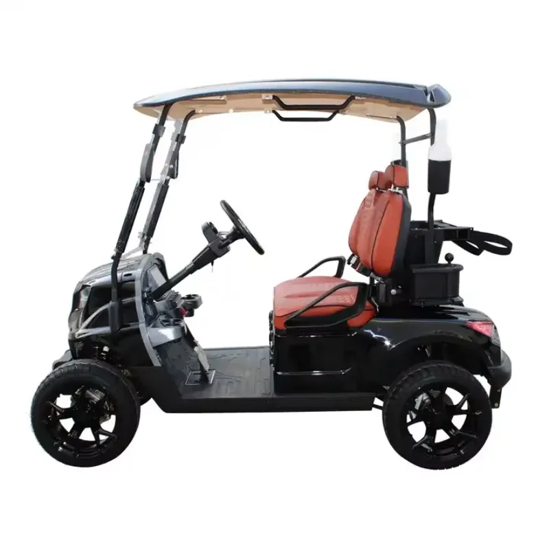 Energy Sightseeing Car Electric Mini 2 Seat Golf Cart With Lithium Battery