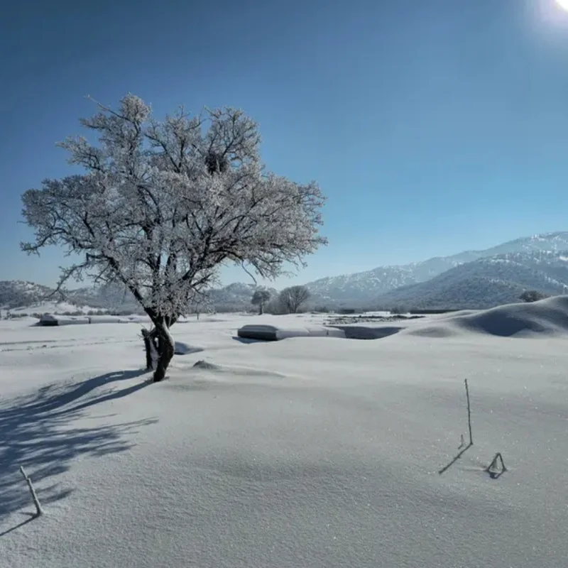 

Цифровой сервопривод JX PDI-HV2546MG - 0,10 с/60 ° Корпус HV Coreless CNC для радиоуправляемых самолетов с фиксированным крылом 450/500