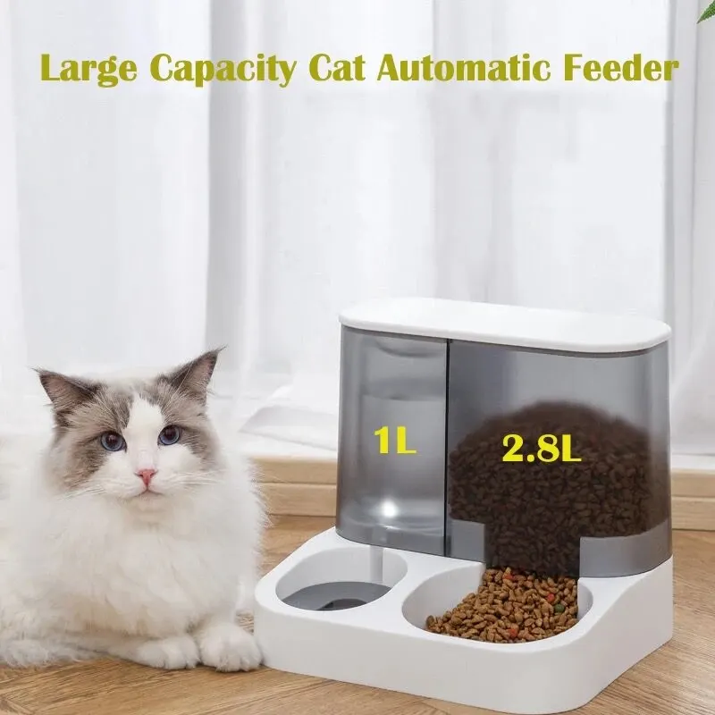 Distributore automatico di cibo per gatti di grande capacità Ciotola per acqua potabile Forniture per animali domestici Contenitore per alimenti per