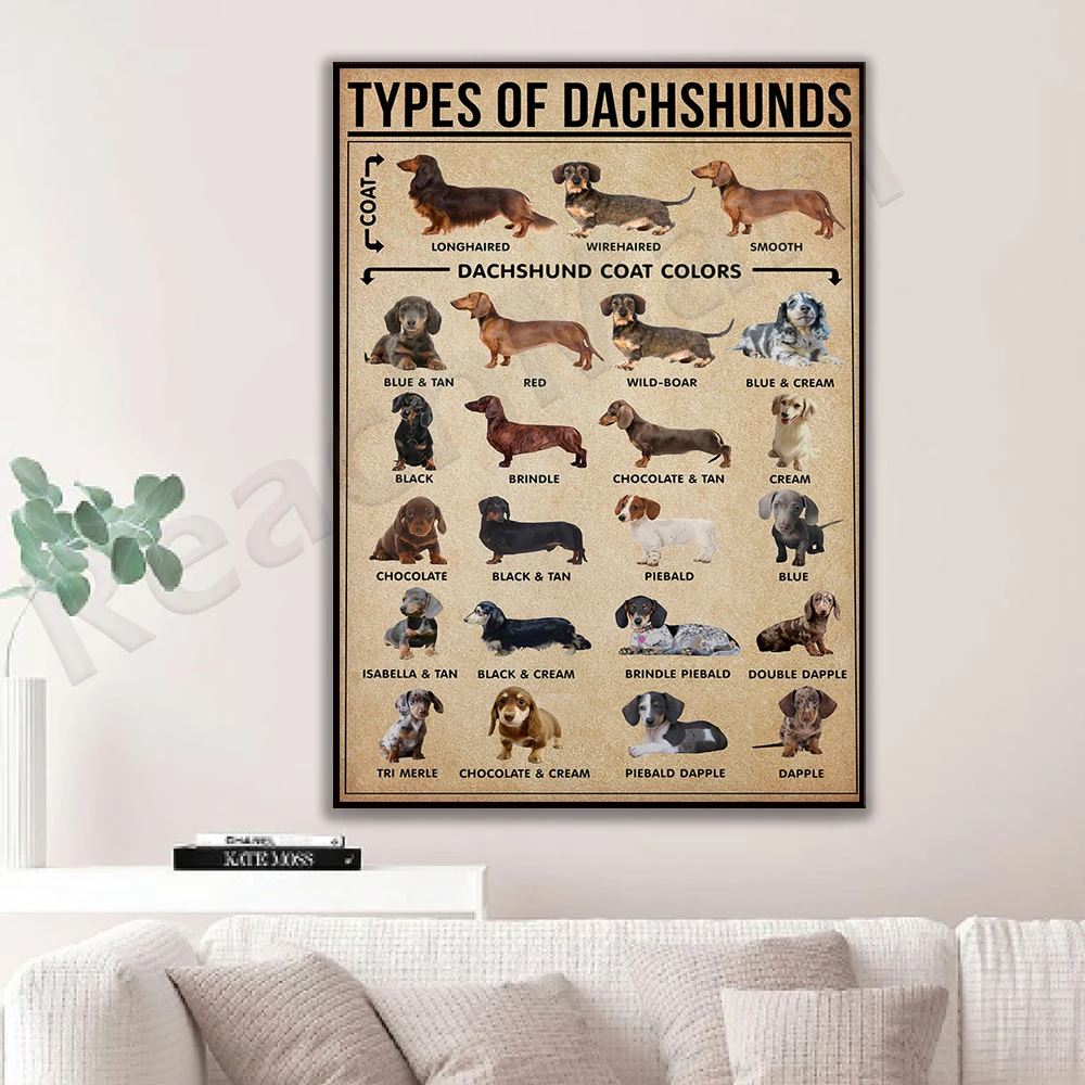 

Types of Dachshund Canvas, Dachshund Knowledge Poster, Dachshund Lover Gift, Dog Wall Art, Dachshund Vintage Canvas