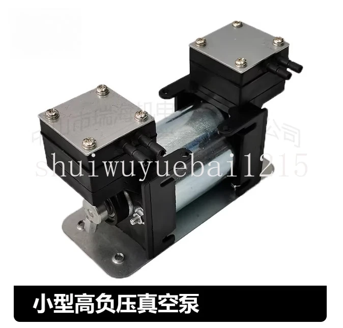 12V/220V High Positive Negative Pressure Vacuum Pump Large  Beauty Instrument Mute Double Head Diaphragm Pump Micro Air Pump