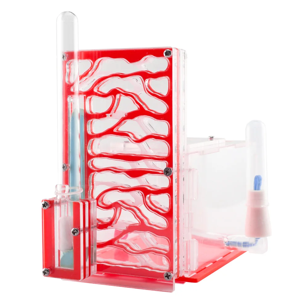 Transparent Observa… - image