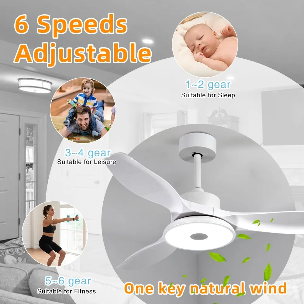 Smart Ceiling Fans with Lights, 6 Speed Reversible Noiseless Motor, LED-RGB Light, Modern Ceiling Fan for Bedroom 48 inch