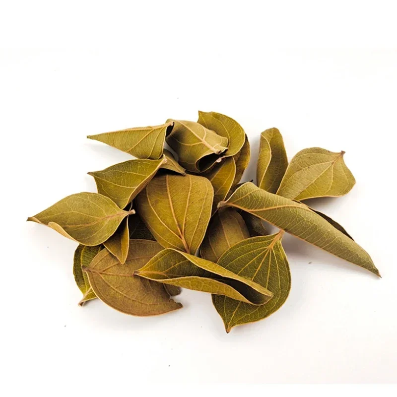 30pcs Natural Leaf Aquarium Filter Terminalia Catappa Foetida Leaves Island Almond Leaf Fish Cleaning Treatment