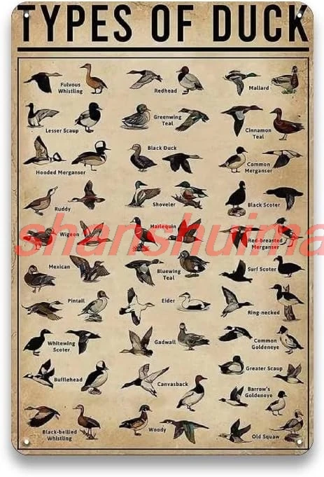 Duck Hunting Accessories - Type of Duck Sign, Vintage Metal Duck Decor Sign for Duck Hunting Gear, Home, Outdoor, Room, Far sign