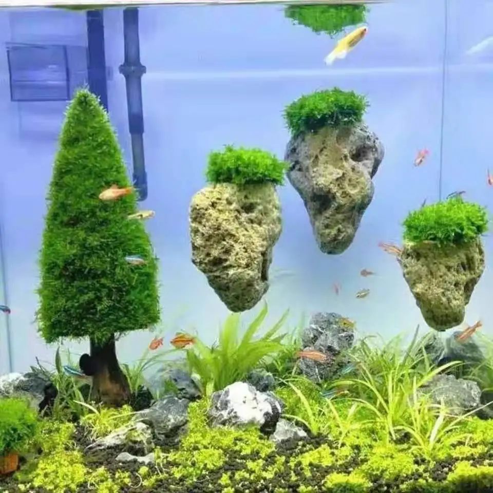 Suspended Stone with Moss for Fish Tank, Aquarium Decorative, Aquatic Plants Landscaping, Natural Avatar Effect with Rope