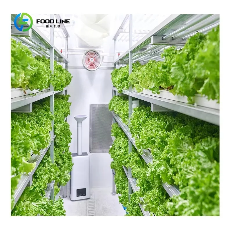 Customized NFT Vertical Farming Container Hydroponic System for Lettuce and Leafy Greens Smart Agriculture Hydroponic Container