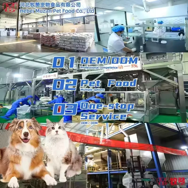 China Factory Price Dog Food Private Label Pet Dry Food with Mixed Flavor Digestive Health Custom Formula for Kitchen Use 3
