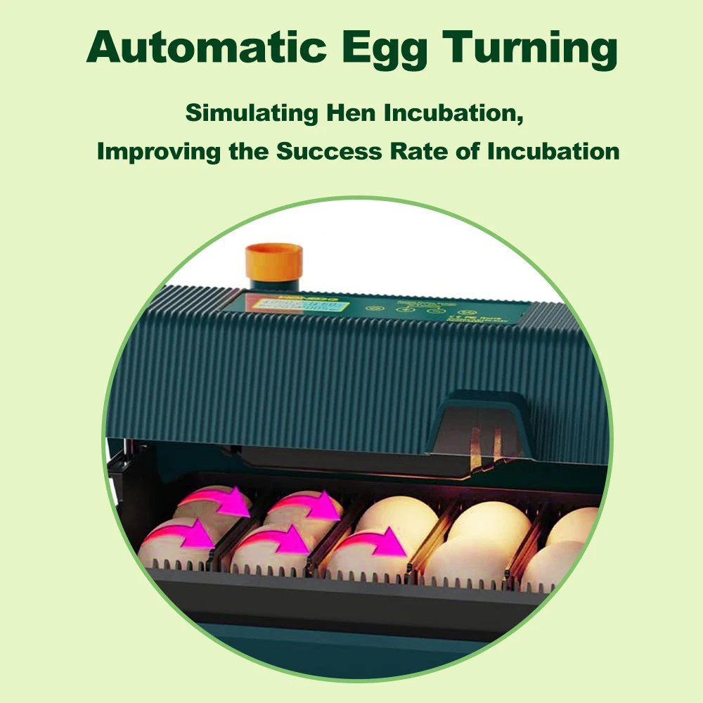 Incubatrice per uova da cova tornitura automatica delle uova 10 uova LED schermo di visualizzazione dell'illuminazione efficiente multifunzionale per gli allevatori