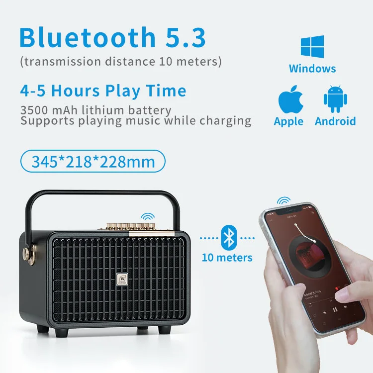 Multifunction Home Karaoke Delicate Vocals Auditory Feast for Indoor Use Party Use Rechargeable Hiking Travel Speaker
