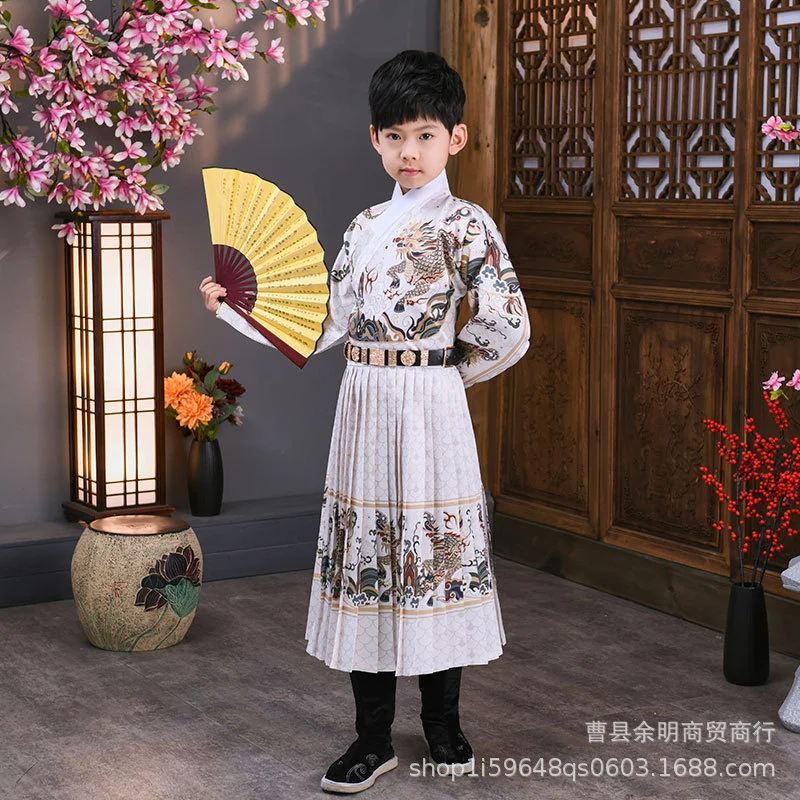 Hanfu-Costume de Performance Traditionnelle pour Garçons, Vêtements de Printemps, Style Ming, Col Croisé, Gardes Royaux, Prairie