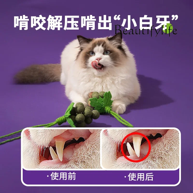 Catnip ball toy cat teaser stick self-hi boredom relief artifact bite-resistant exquisite ball molar stick