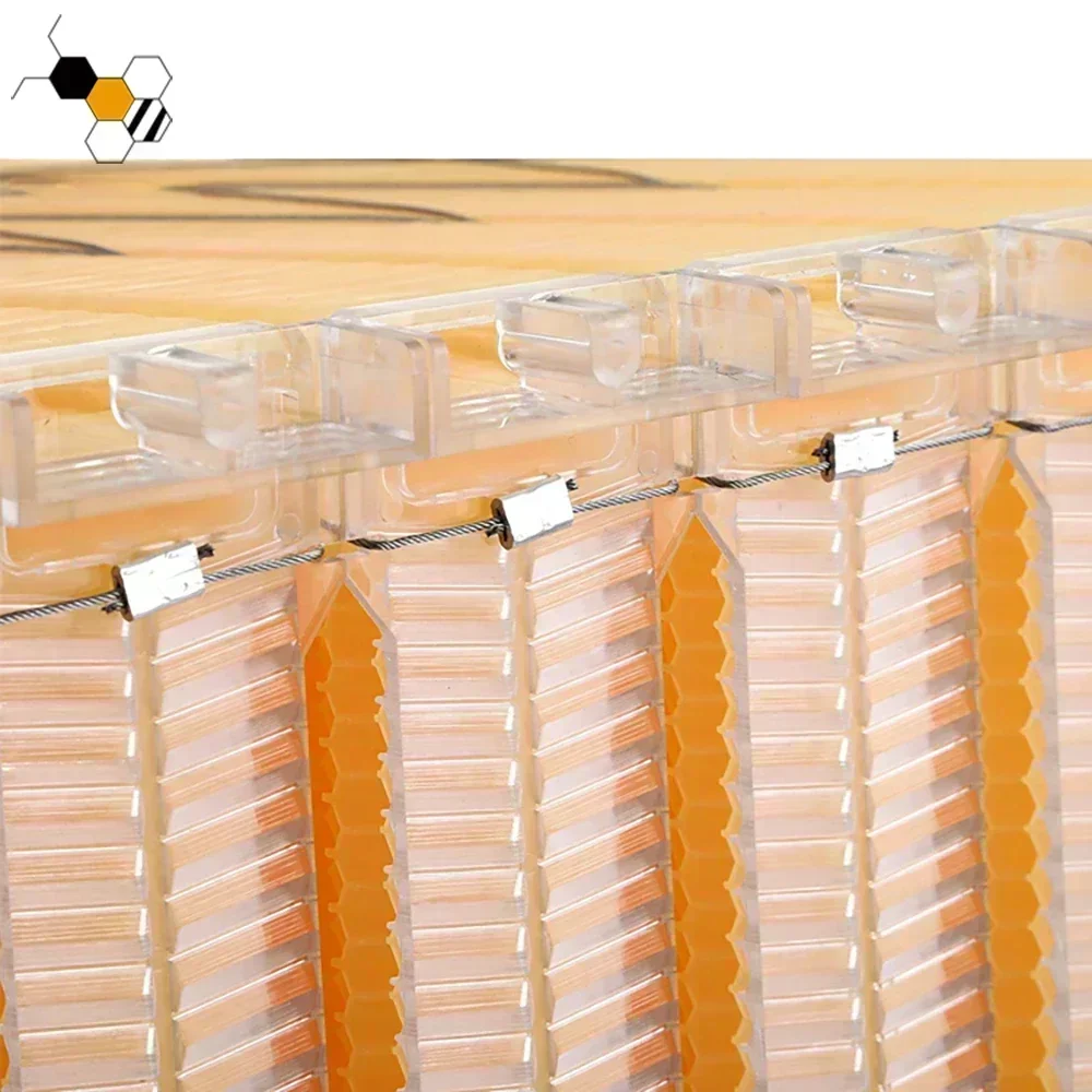 Automatic Self-Flowing Honey 7 Bee Hive Frames Set Apiculture Equipment Auto Flows Honey Beehive