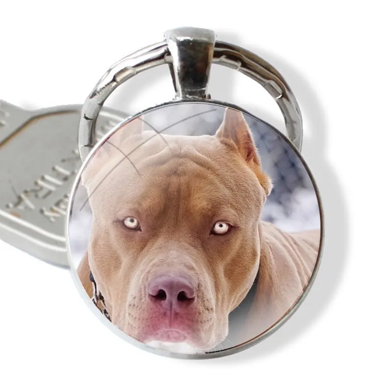 Pit Bull Lovely Dog Pitbull Glass Metal Pendant Key Chain Classic Men Women Key Ring Accessories Jewelry Gifts