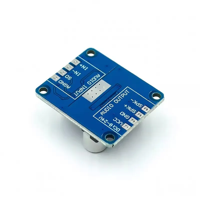 2pcs DY AP3001 High Power Digital Amplifier Board Class D 10W 30W 12V 24V for DIY Speaker System