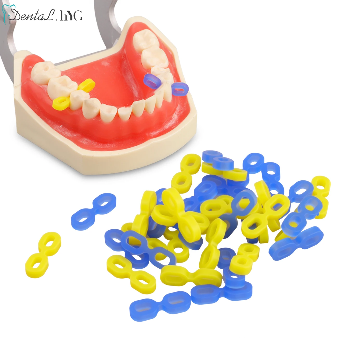 40 Pcs Dental Wedge Matrix Matrices Seperator Elastic Rubber Fixing Wedges Sectional Contoured Matrices Gaskets Dental Tooth