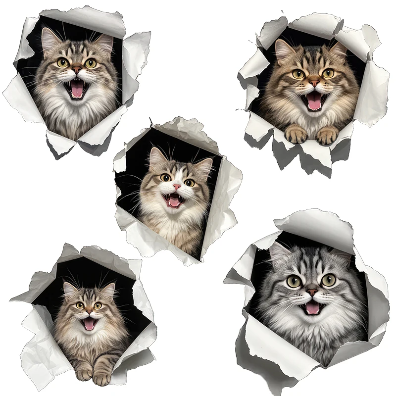 Three Ratels CG72 Naughty Kitties funny Animal wall stickers for home decoration car body decals