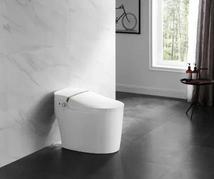 Arrow Sanitary Ware Modern Tankless Smart Toilet Price,Toilet Manufacturers,Round Toilet Sit