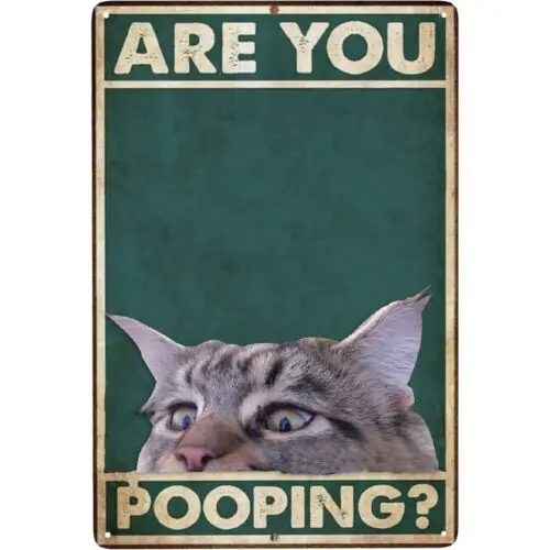 Are You Pooping Funny Metal Tin Sign Vintage Black Cat Wall Art Decoration 12x8