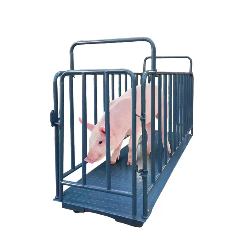2 t heavy floor scale digital weighing scale ex-factory price pig livestock scale