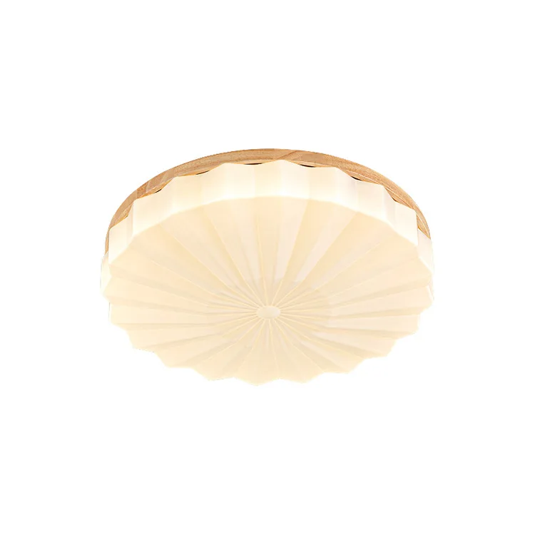 

Nordic warm and romantic master bedroom light, creative room petal light