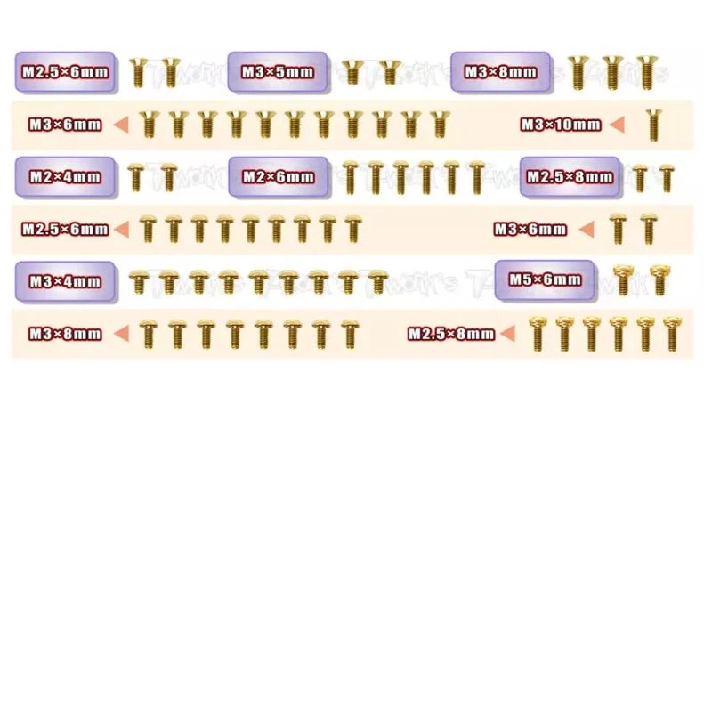 

Original T works GSS-P12EVO2 Gold Plated Steel Screw Set 65pcs. ( For ROCHE P12 EVO 2 ) Professional Rc part