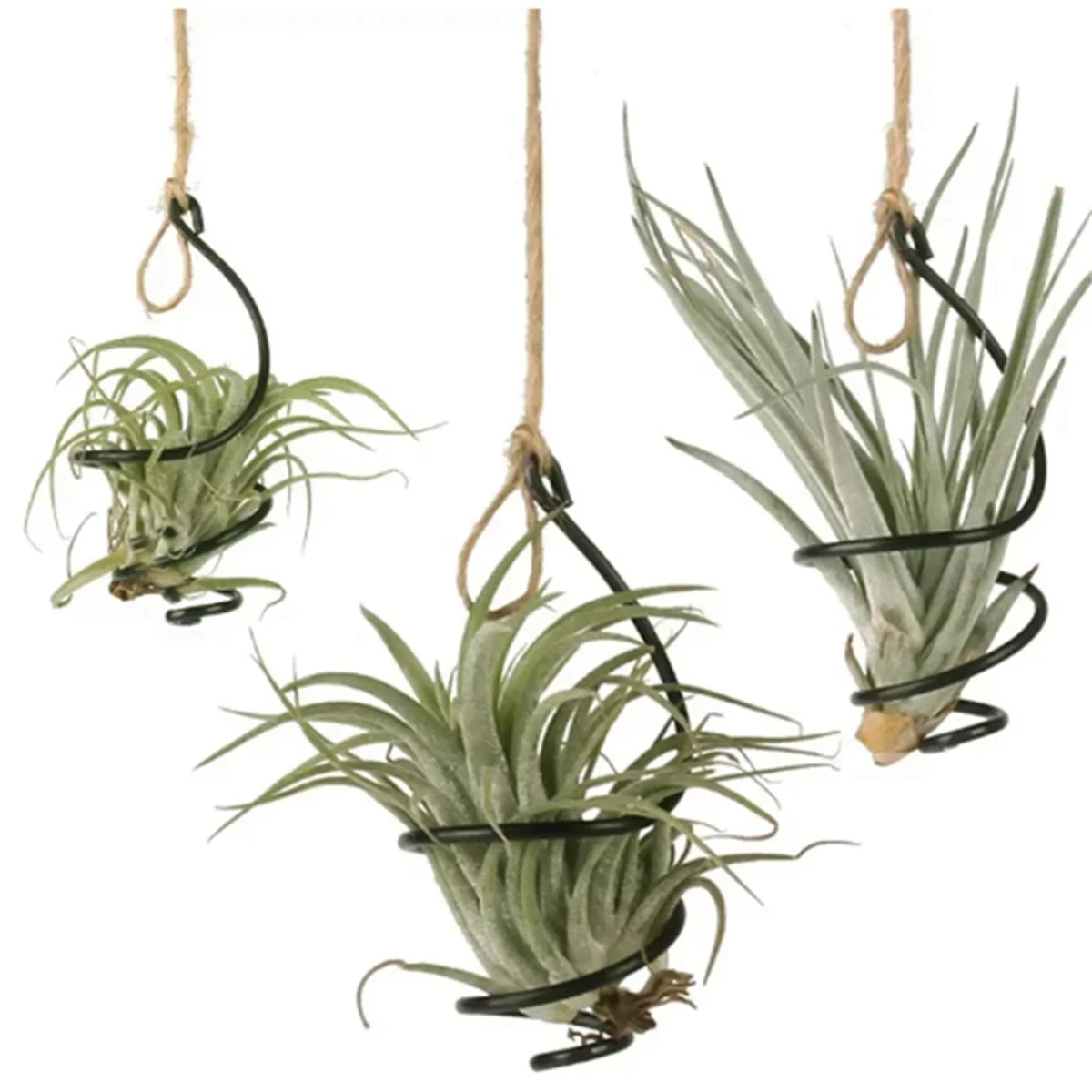 Air Pineapple Hook Hanging Flower Stand Pots Display Hanger Holder Iron