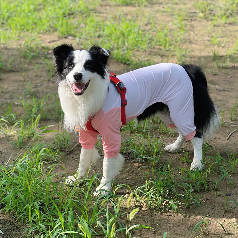 

Summer Sun-proof Big Dog Cool Clothes Insect resistant 4-Legged Dog Jumpsuit for Schnauzer Corgi Husky Labrador Golden Retriever