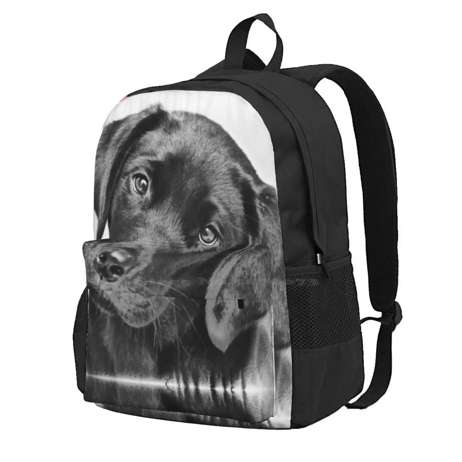 

Black Labrador Pup Hot Sale Schoolbag Backpack Fashion Bags Labrador Puppy Dog Pet Black And White