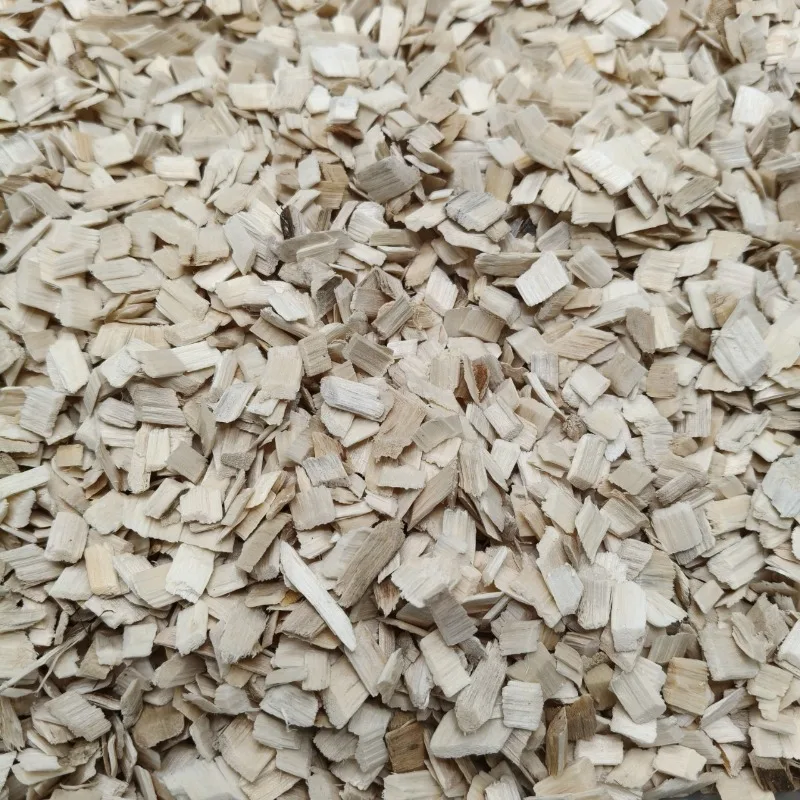 lettiera-in-trucioli-di-legno-per-rettili