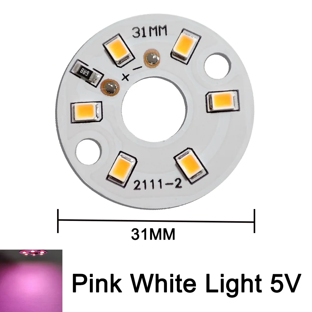 Full Spectrum Fill Light Source Board, Folha de Luz Noturna, Baixa Tensão, DC Luz Quente, 31mm, LED5V