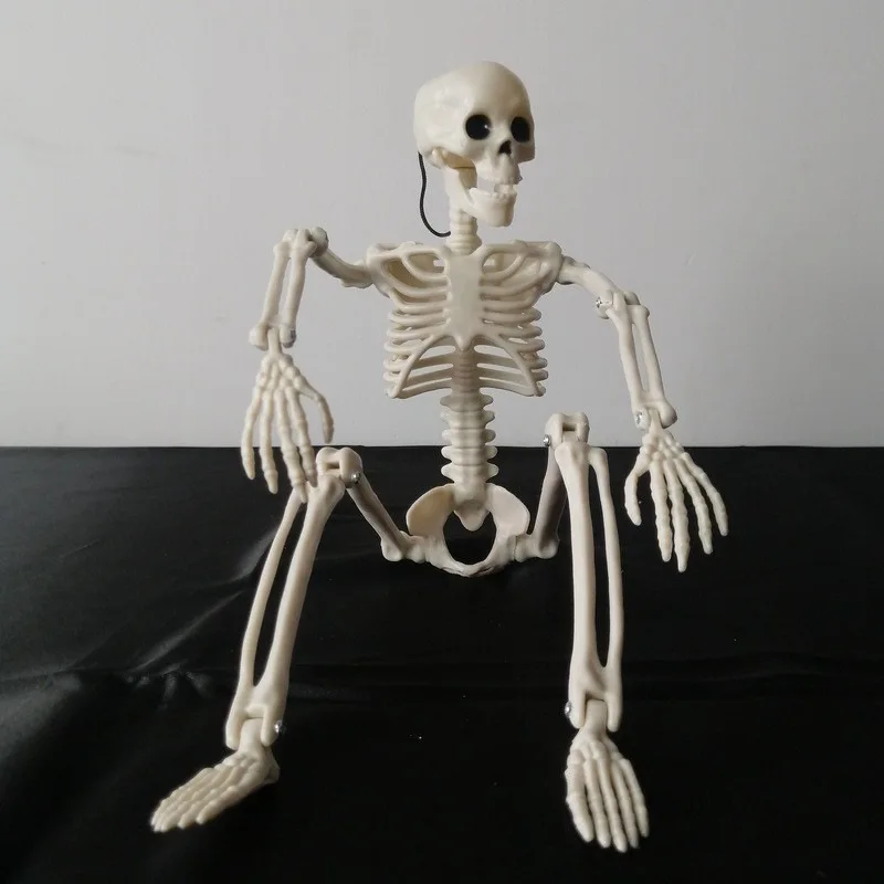 

Halloween Human Skeleton 40CM-90CM Movable Skeleton, Human Skeleton Halloween Horror Decorations, Haunted House Horror Props