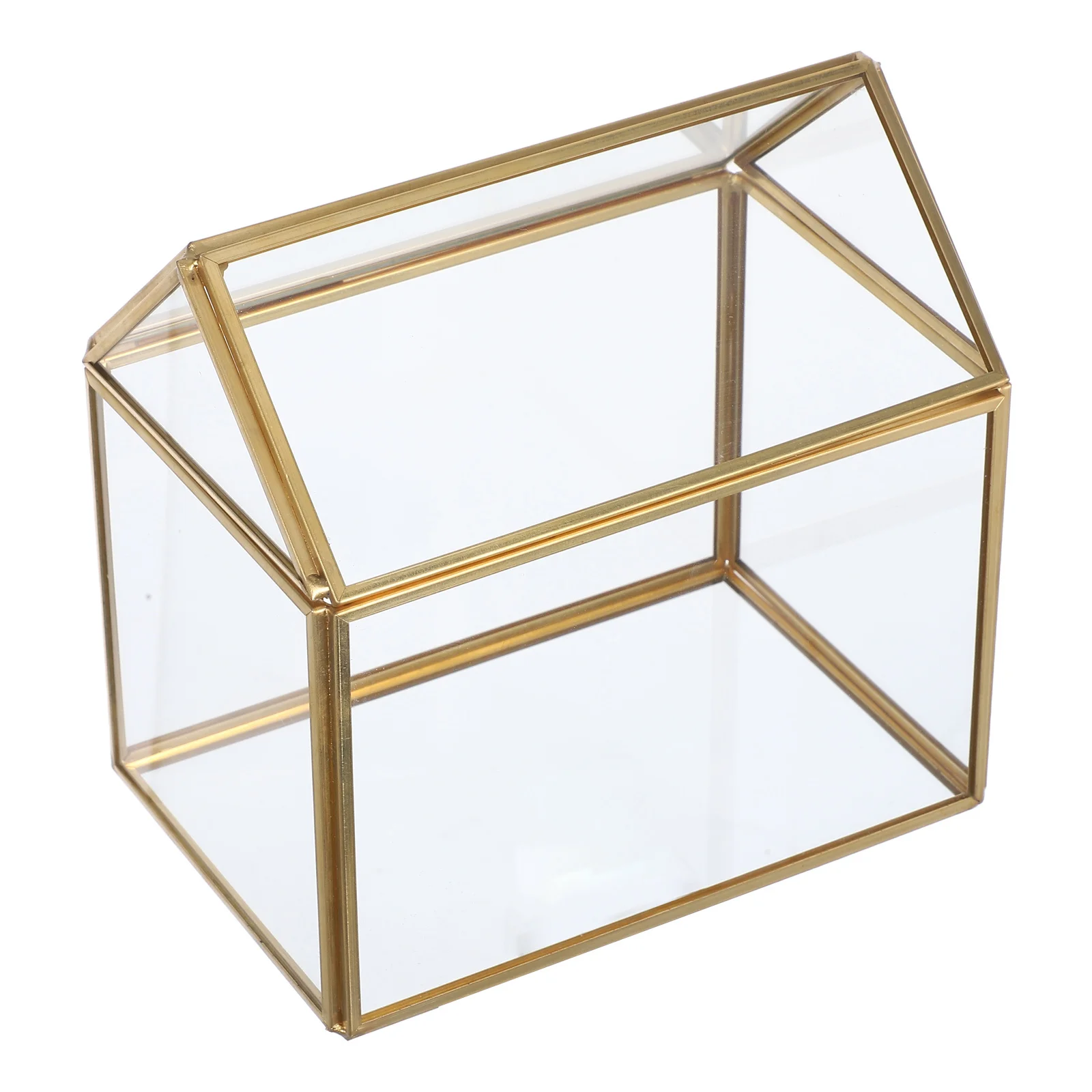 

Geometric Plant Display Enchanting Miniature Terrarium Tabletop Greenhouse