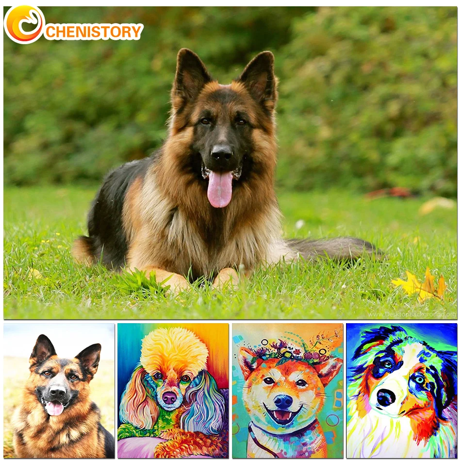 

CHENISTORY Diamond Painting Colorful Dog Mosaic Embroidery Cross Stitch Set 5D DIY Living Room Home Art Wall Decoration Gift