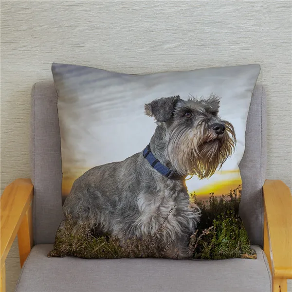 Cute Standard Schnauzer Printed Cushion Cover 45*45 Throw Pillow  Home Living Room Sofa Decorative