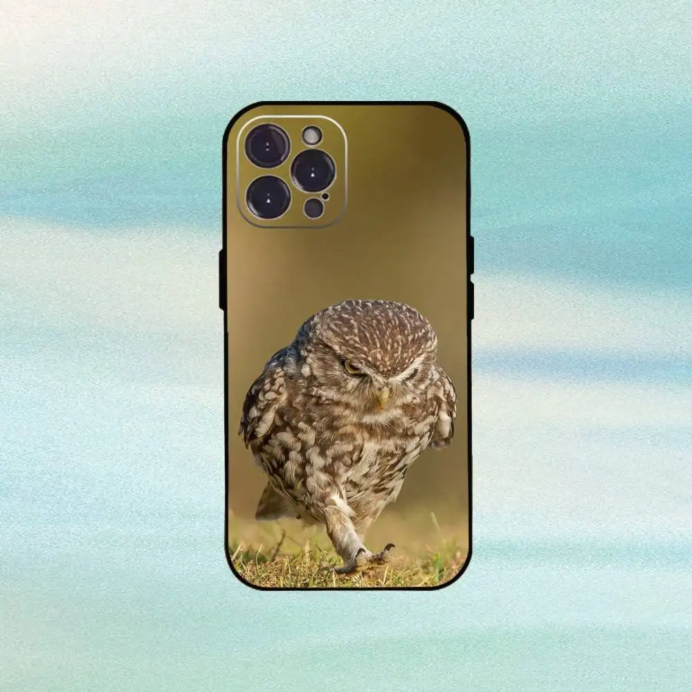 حافظة لهاتف آيفون 16 15 14 13 12 11 Pro Max Plus، 5G حافظة سوداء ناعمة #5