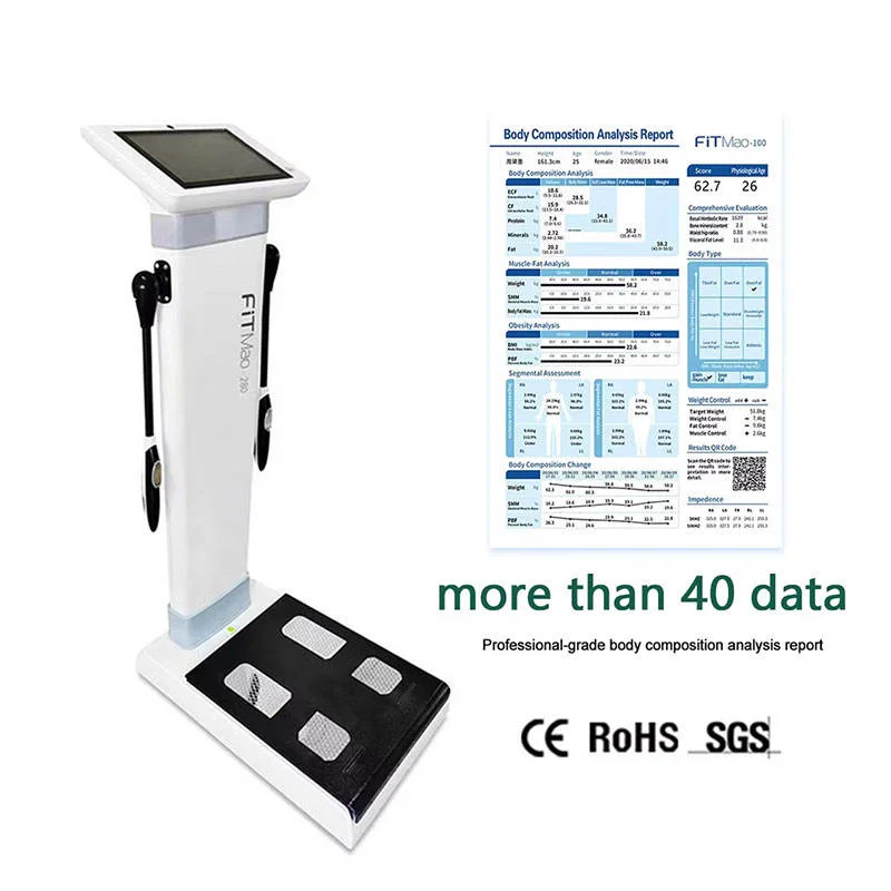 

10 Inch Touch Screen Body Composition Care Full Body Analyzer Body Fat content Abdomen Fat Melt Machine Body Analyzer for Gym
