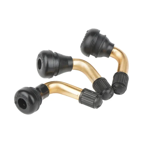 Imagen 2 del producto Boquilla de vacío para neumático de vehículo eléctrico Pvr50 Pvr60 Pvr70, accesorios para vástago de válvula de motocicleta, llanta de neumático sin cámara, 100 piezas