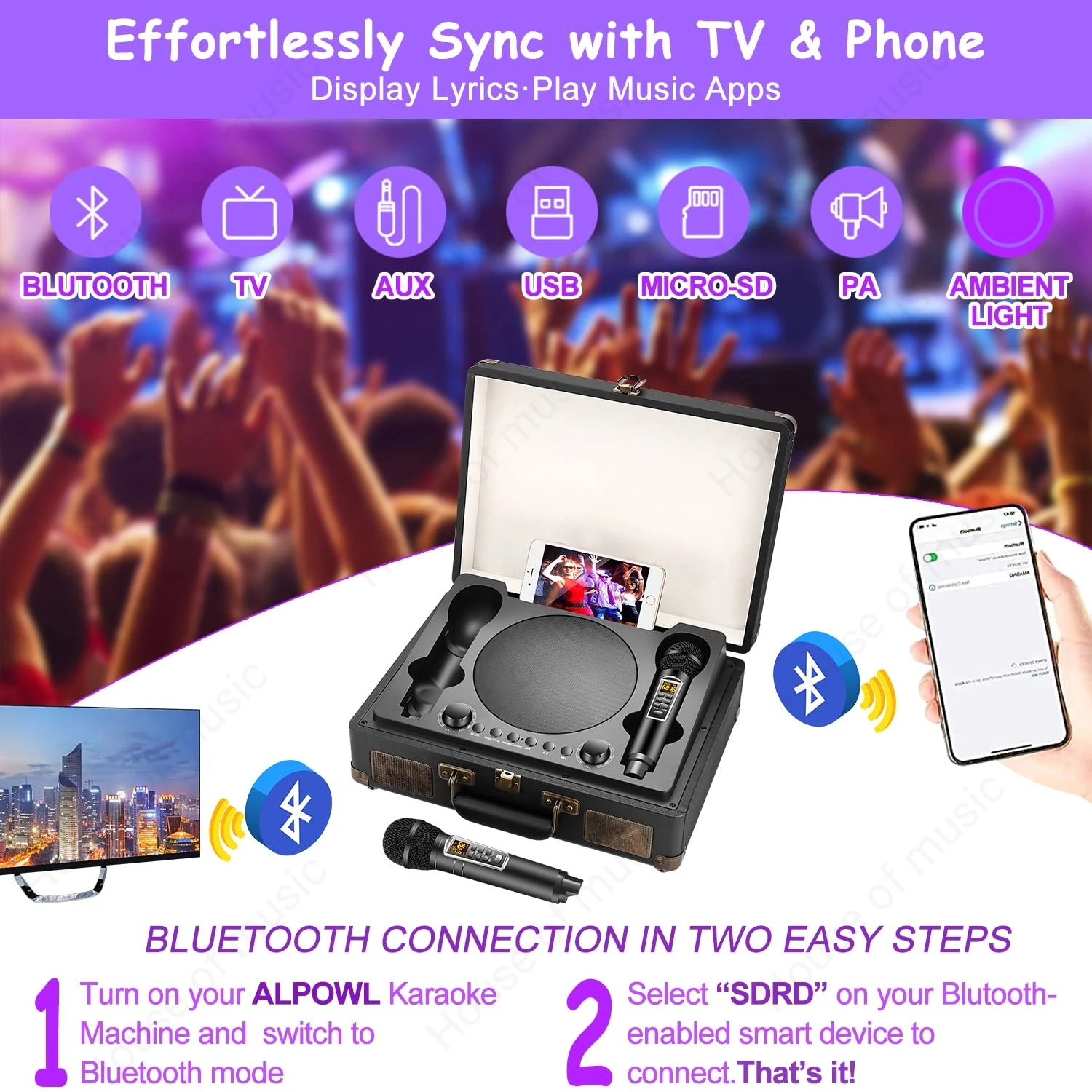 ポータブル屋外カラオケマシン,デュアルワイヤレスマイク,ハイパワーステレオケース,Bluetooth KTVスピーカー,sdrd2109