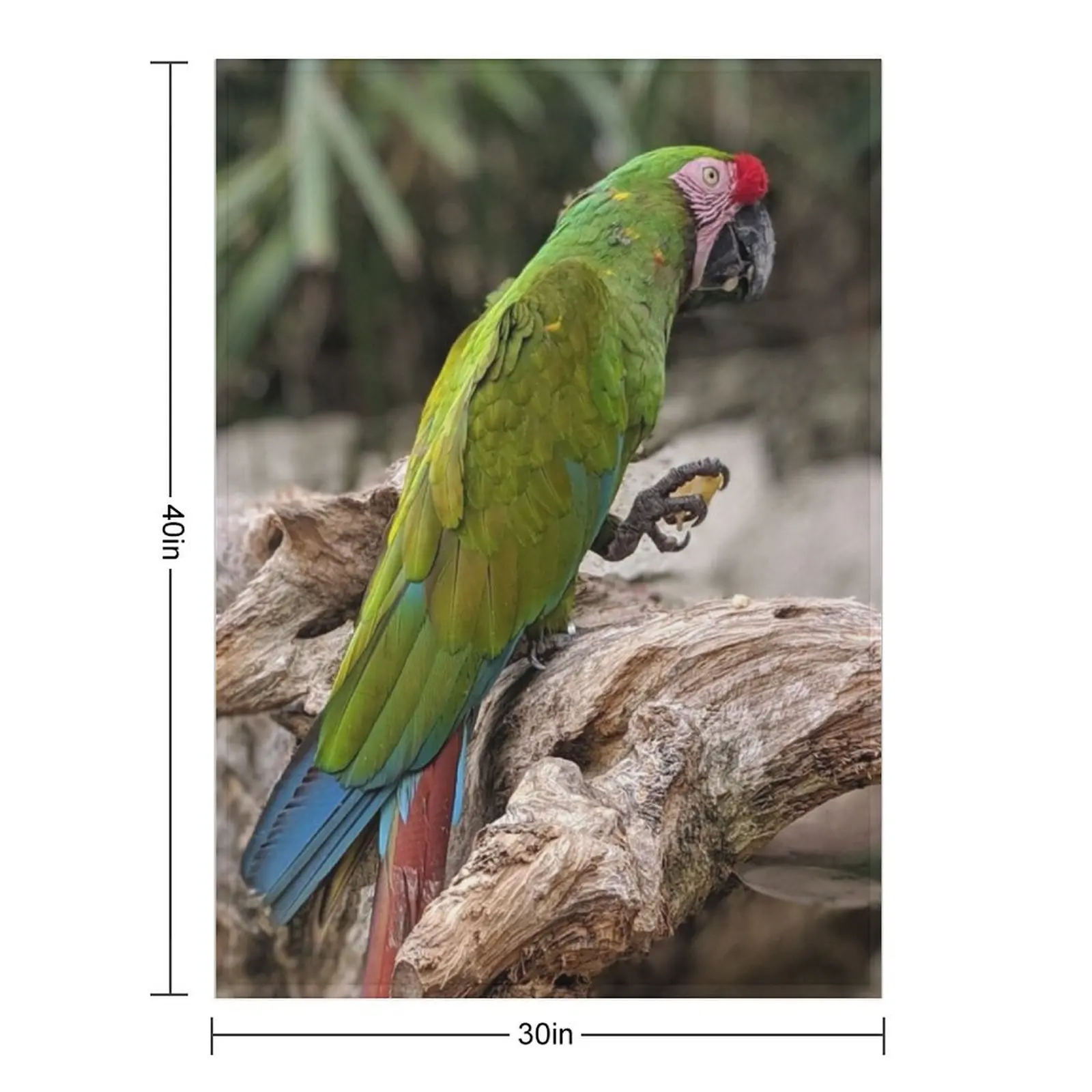 Great Green Macaw Throw Blanket Sofa Large Decoratives anime Blankets