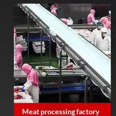 Beef And Pork Chop Cnc Cutting And Rowing Machine Automatic Slicer