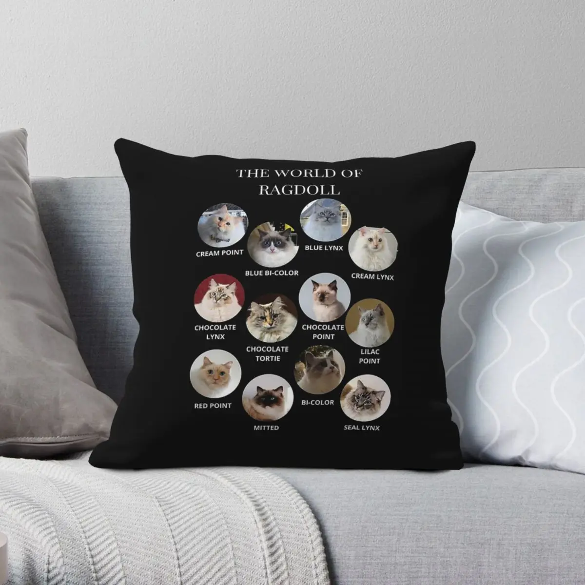 The World Of Ragdoll Cats Square Pillowcase Polyester Linen Velvet Pattern Zip Decorative Bed Cushion Cover