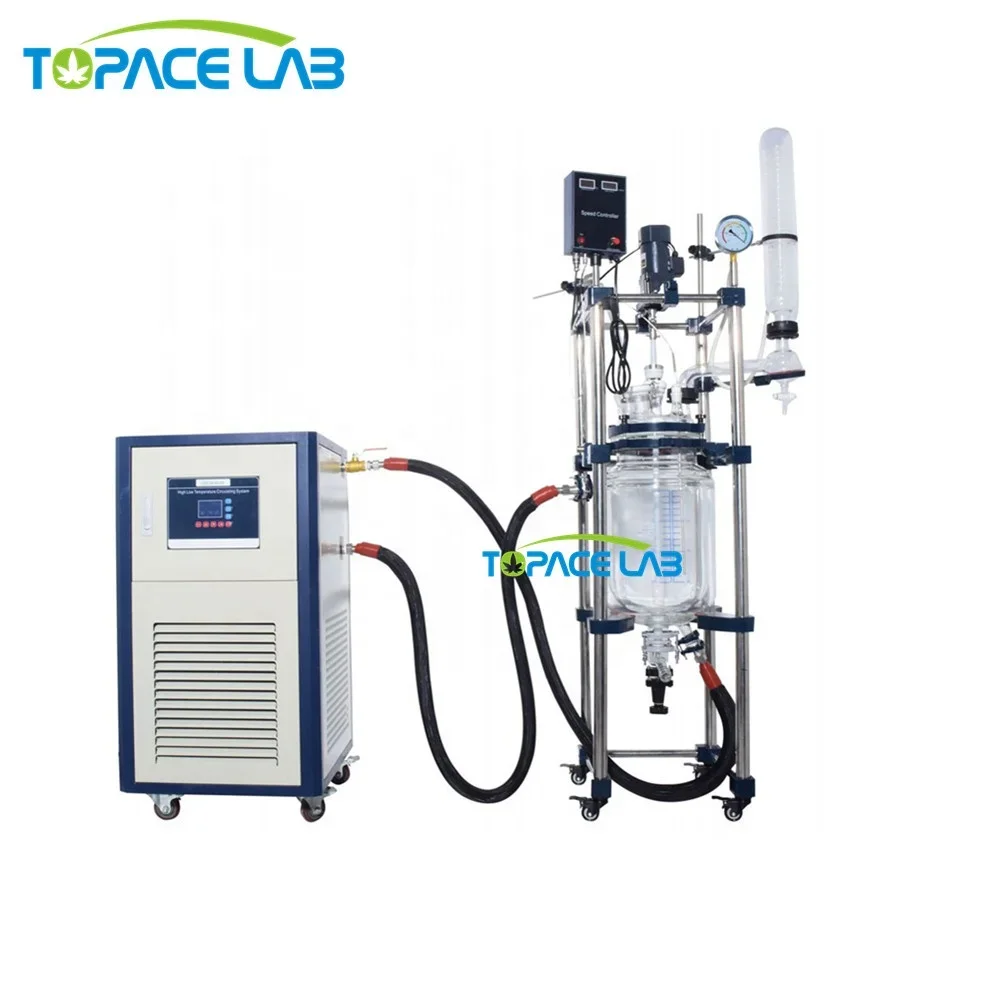 

Topacelab Jacketed Reactor Kettle Jacketer Glass 1-5l 10l 20l 30l 50 L 100l 200l With CE Certificate