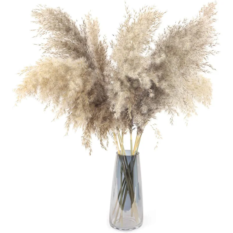 

20Pcs Pampas Grass Large,23Inch Tall Natural Dry Artificial Pampa Grass Decor,Fluffy Reed Bouquet,Wedding Boho Home Decor Flower